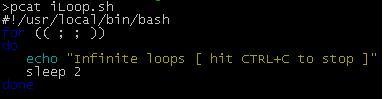 Pygmentize Output